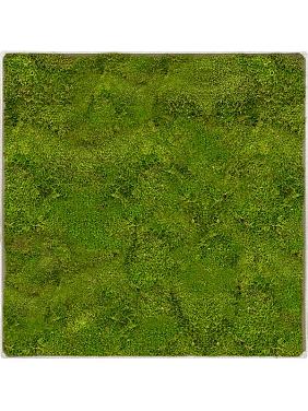 Картина из мха nova frame antique white-concrete 100% flat moss Картина из мха nova frame antique white-concrete 100% flat moss