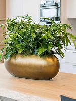 Кашпо Baq metallic silver leaf boat matt honey L56 W23 H20 см Кашпо Baq metallic silver leaf boat matt honey L56 W23 H20 см