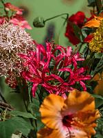 Нерине искусственная W19 H75 см