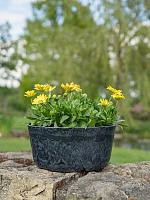 Кашпо Palermo bowl marble grey D27 H12 см Кашпо Palermo bowl marble grey D27 H12 см