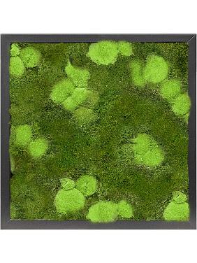 Картина из мха mdf ral 9005 satin gloss 30% ball- and 70% flat moss Картина из мха mdf ral 9005 satin gloss 30% ball- and 70% flat moss