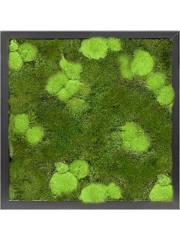Картина из мха mdf ral 9005 satin gloss 30% ball- and 70% flat moss Картина из мха mdf ral 9005 satin gloss 30% ball- and 70% flat moss