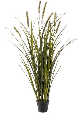 Рогоз (болотная трава) искусственная Рогоз (болотная трава) искусственная