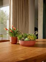 Кашпо Jazz bowl tuscan red D28 H9 см