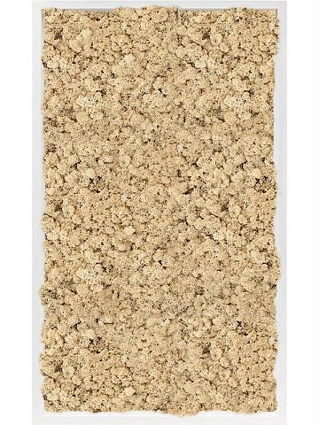 Картина из мха mdf ral 9010 satin gloss 100% reindeer moss (natural)