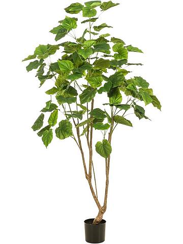 Фикус Умбеллата искусственный Фикус Умбеллата искусственный