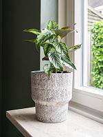 Кашпо Silas pot stone D14 H16 см Кашпо Silas pot stone D14 H16 см