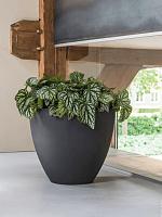 Кашпо Refined jesslyn l volcano black D70 H61 см Кашпо Refined jesslyn l volcano black D70 H61 см