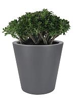 Кашпо Pure® straight round anthracite D50 H51 см Кашпо Pure® straight round anthracite D50 H51 см
