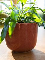 Кашпо Nine pot old pnk D22 H20 см