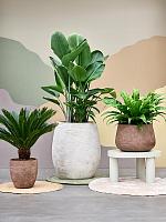 Кашпо Baq algar darcy low brown D70 H46 см