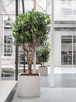 Кашпо Baq raindrop cube beige L40 W40 H36 см