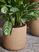 Кашпо Baq dune cylinder brown beige D38 H37 см Кашпо Baq dune cylinder brown beige D38 H37 см