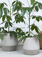 Кашпо Humus pot concrete D37 H43 см