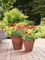 Кашпо Artstone claire pot oak D37 H34 см