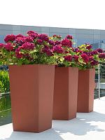 Кашпо Baq ecoline rise regular kubis L36 W36 H70 см