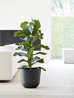 Кашпо Ecopots oslo 35 dark grey D35 H31 см