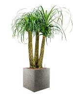 Кашпо Grigio cube natural concrete L40 W40 H40 см