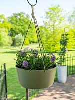 Кашпо подвесное Palermo hanger sage D27 H12 см Кашпо подвесное Palermo hanger sage D27 H12 см