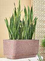 Кашпо Baq terrazzo rounded rectangle mocha L80 W40 H40 см