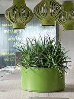 Кашпо Multivorm / basic round high shine D37 H25 см Кашпо Multivorm / basic round high shine D37 H25 см