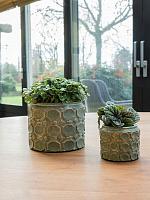 Кашпо Jurre pot green D14 H11 см