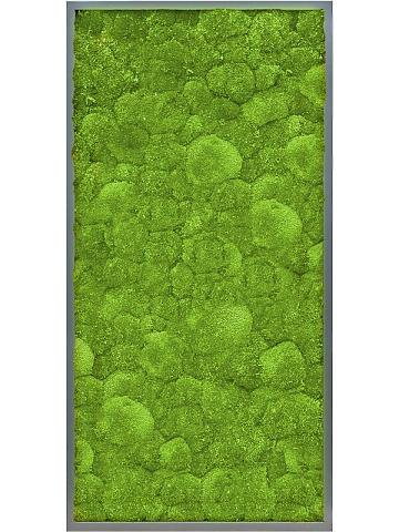 Картина из мха mdf ral 7016 satin gloss 100% ball moss Картина из мха mdf ral 7016 satin gloss 100% ball moss