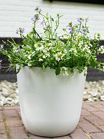 Кашпо Palermo pot white D13 H12 см Кашпо Palermo pot white D13 H12 см