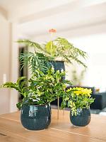 Кашпо Odile pot petrol D15 H13 см