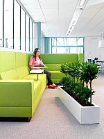 Кашпо Fiberstone balcony xl glossy white L80 W20 H20 см