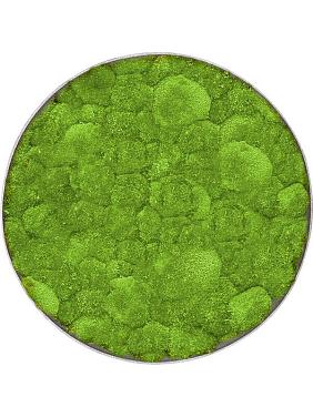 Картина из мха nova frame natural-concrete 100% ball moss