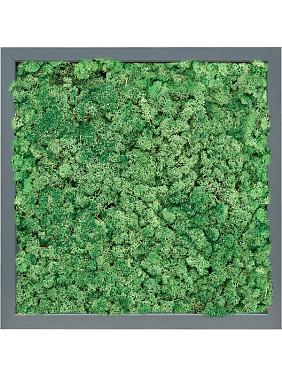 Картина из мха mdf ral 7016 satin gloss 100% reindeer (grass green) Картина из мха mdf ral 7016 satin gloss 100% reindeer (grass green)
