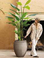 Стрелиция Николая искусственная W100 H150 см