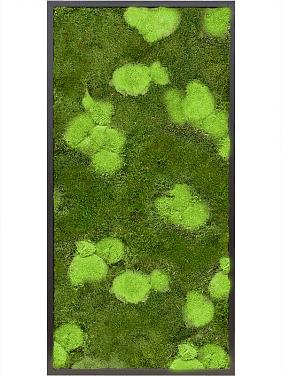 Картина из мха mdf ral 9005 satin gloss 30% ball- and 70% flat moss Картина из мха mdf ral 9005 satin gloss 30% ball- and 70% flat moss