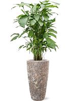 Кашпо Baq lava partner straight relic rust metal D35 H65 см