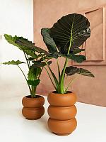 Кашпо Premium amber roll low karamel D43 H40 см