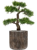 Кашпо Baq luxe lite universe waterfall cylinder bronze D23 H22 см