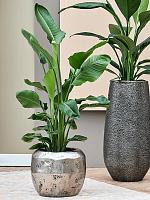 Кашпо Baq opus raw couple silver D50 H40 см