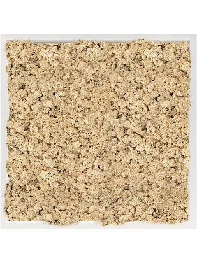 Картина из мха mdf ral 9010 satin gloss 100% reindeer moss (natural) Картина из мха mdf ral 9010 satin gloss 100% reindeer moss (natural)