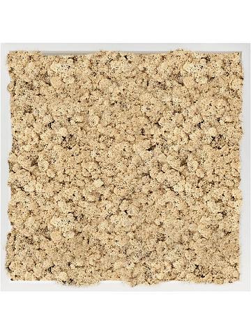 Картина из мха mdf ral 9010 satin gloss 100% reindeer moss (natural) Картина из мха mdf ral 9010 satin gloss 100% reindeer moss (natural)