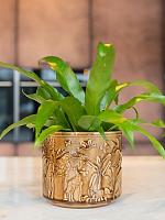 Кашпо Designed by lammie pot safari sunset D14 H13 см