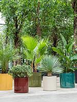 Кашпо Cylinder pot deep red D30 H30 см Кашпо Cylinder pot deep red D30 H30 см