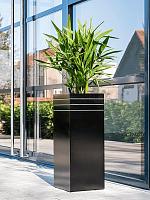 Кашпо Baq line-up square matt black (с техническим горшком) L30 W30 H75 см