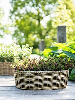 Кашпо Jet pot natural (набор 3 шт) L63 W47 H19 см Кашпо Jet pot natural (набор 3 шт) L63 W47 H19 см