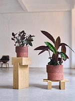 Кашпо Tact orchidpot terracotta D27 H23 см Кашпо Tact orchidpot terracotta D27 H23 см