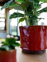 Кашпо Nolan pot red D21 H20 см