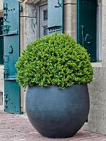 Кашпо Fiberstone jumbo orb m black D110 H93 см