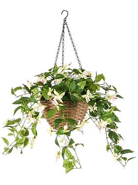 Фуксия кремовая ампельная в подвесном кашпо искусственная