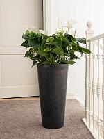 Кашпо Artstone claire vase black D37 H70 см