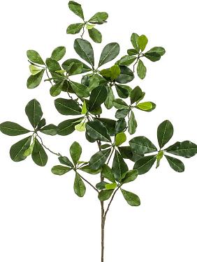 Ветка восточной оливы искусственная Ветка восточной оливы искусственная
